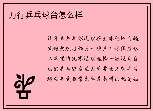 万行乒乓球台怎么样