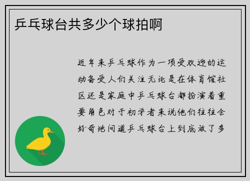 乒乓球台共多少个球拍啊