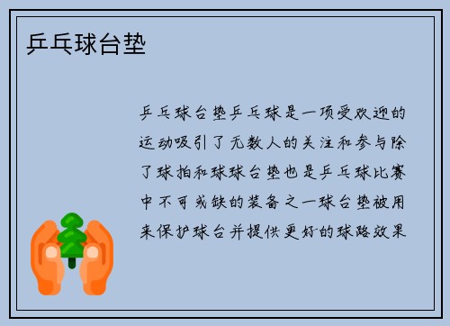乒乓球台垫