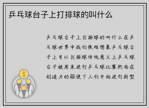 乒乓球台子上打排球的叫什么