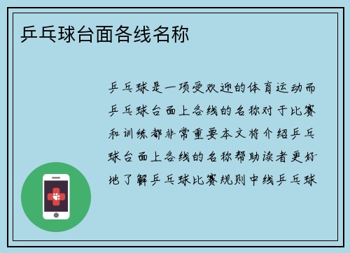 乒乓球台面各线名称