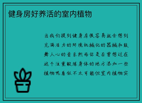 健身房好养活的室内植物