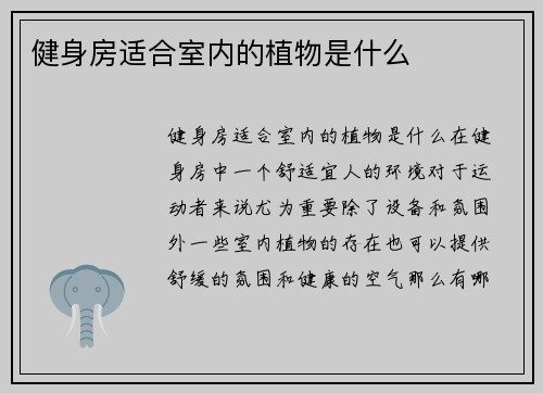 健身房适合室内的植物是什么