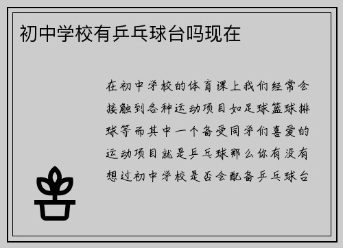 初中学校有乒乓球台吗现在