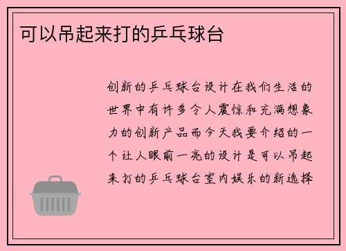 可以吊起来打的乒乓球台