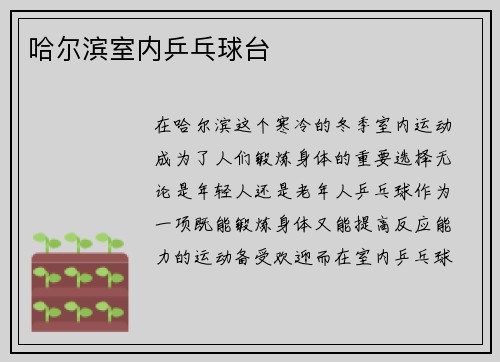 哈尔滨室内乒乓球台